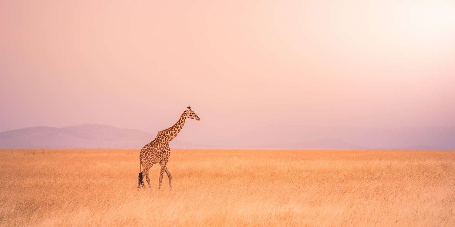Serengeti National Park